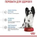  Royal Canin    X-SMALL PUPPY (- ), 0,5 