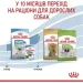   Royal Canin    X-SMALL PUPPY 1,5 