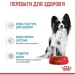   Royal Canin      XSmall Puppy 85 