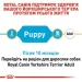   Royal Canin    YORKSHIRE TERRIER PUPPY 0,5 