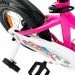  Royalbaby Chipmunk MK 14"  (CM14-1-pink)