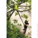  Ryobi ONE+ RPP1820-15S (5133003721)