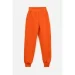  Safari  (+ )  100.1000 92   (2000989503217W)