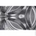   Samsung WW11B1504CAEUA