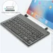    Sandy Gforse   IQ  79