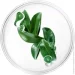   Sante     75  (4025089073758)