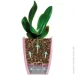  Santino   Orchidea Twin   1,3  (2008718)