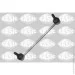  Sasic 2300028