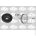  Sasic SAS2154011 (2154011)