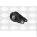   Sasic SAS2700022 (2700022)