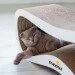ʳ Say Meow Grace 67x27x25