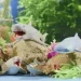 Sbabam - " -  " 106/CN24  "Legend of animals