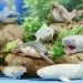 Sbabam - " -  " 106/CN24  "Legend of animals