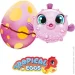 Sbabam  Tropical Eggs    77/CN-2020