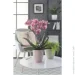 Scheurich    Elegance  1,15  