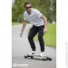  Schildkrot Longboard Freeride 41" Cool Chimp / (510690)