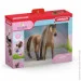  Schleich-S      (42621)