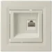 Schneider Electric  ' Asfora RJ45 