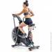  Schwinn AIRDYNE AD8 (708447909381)