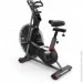  Schwinn AIRDYNE AD8 (708447909381)