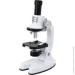   Science Horse     MC231180