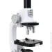   Science Horse     MC231180