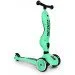 Scoot And Ride Highwaykick-1 Kiwi (SR-160629-KIWI)