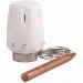 SD Forte     Sfe010