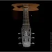 Seagull Studios   Seagull S6 Original Presys II