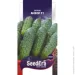 Seedera   F1 10 .