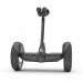  () Segway Ninebot S Black (23.03.0000.11)