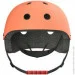     Segway ( ) (AB.00.0020.52)