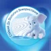 Selpak   2 (8690530015029)