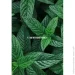 Sense Education    SPF10 '  10 