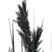   Sensio      91  