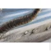 Sensio    Beach   70x140  F600A