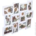  Sensio    BW SM00047 12  10x15  