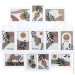  Sensio  Family 12  9x13/10x15  