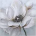 Sensio    Lotus   80x80  H1525A