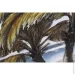 Sensio    Palm   70x140  F600B