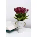 Sensio   Vasos 17   PS33113