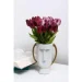 Sensio   Vasos 21   PS33112