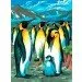    Sequin Art Painting By Numbers Junior. Penguins (SA0033)