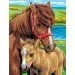    Sequin Art Painting By Numbers Junior-Paris. Horses (SA0215)