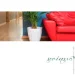 Serinova    Daisy 0,7   (11429)