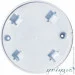 Serinova    Daisy 46   (11459)