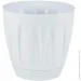 Serinova  DAISY 5  12   (P005-Beyaz 11448)