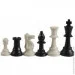   Shachqueen       E211 97 