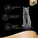   Sheba Cig Pou      85 (4770608257293)