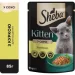   Sheba    Kitten    85 